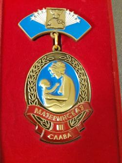 Торжественное награждение многодетных матерей 
